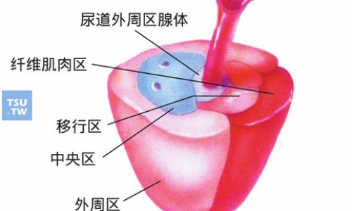 链激酶副作用-链激酶  副作用网—知名的链激酶多少钱一支网站,分享链激酶英文缩写知识
